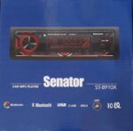 رادیو فلش سناتور SENATOR ST-8910X (6خروجی)